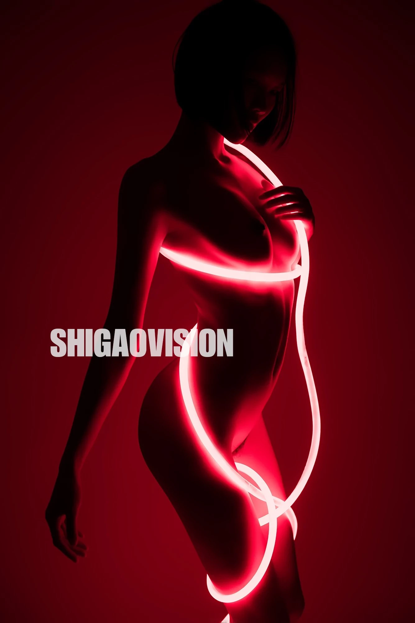 Shigaovision 影集 [3][148P]