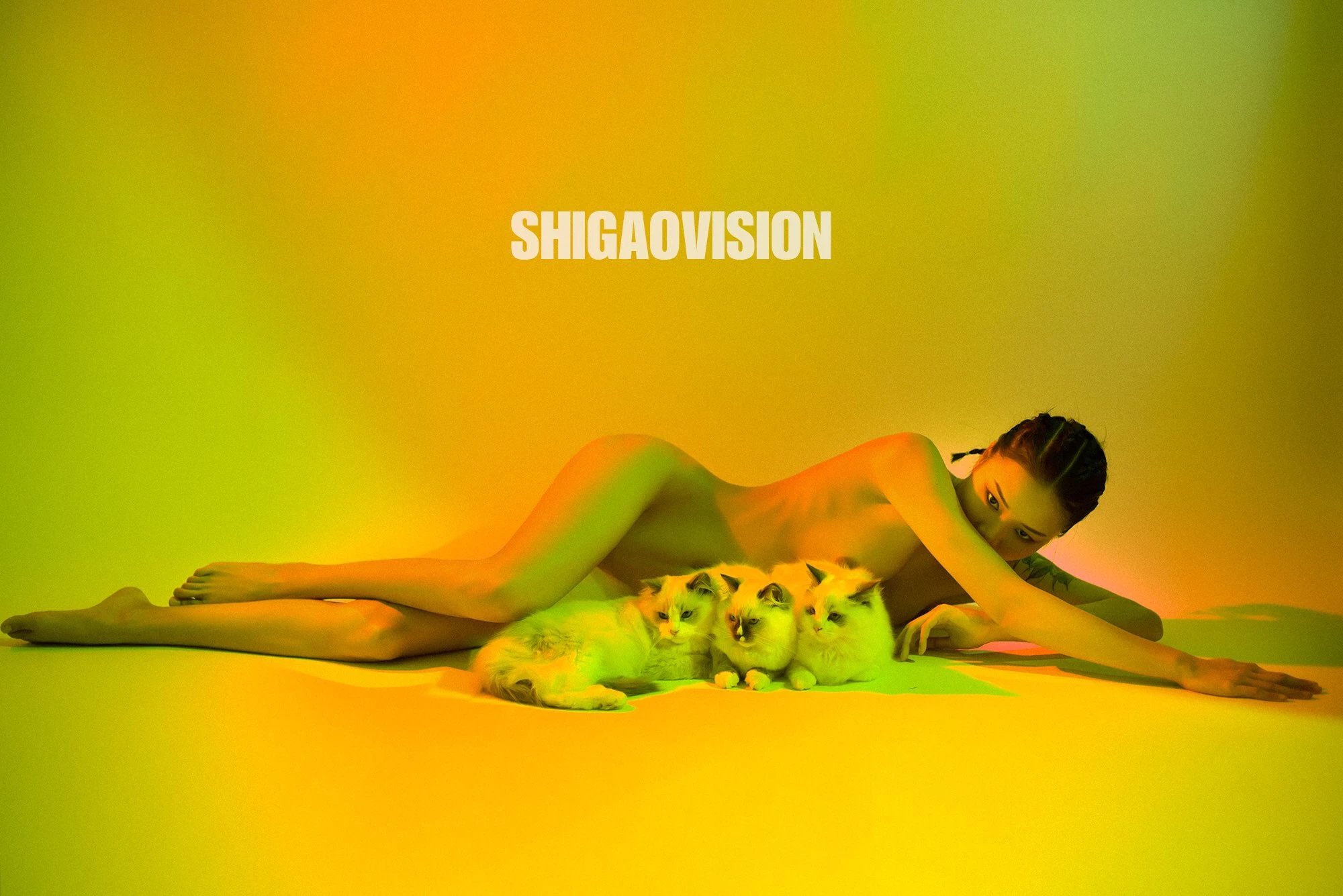 Shigaovision 影集 [3][148P]