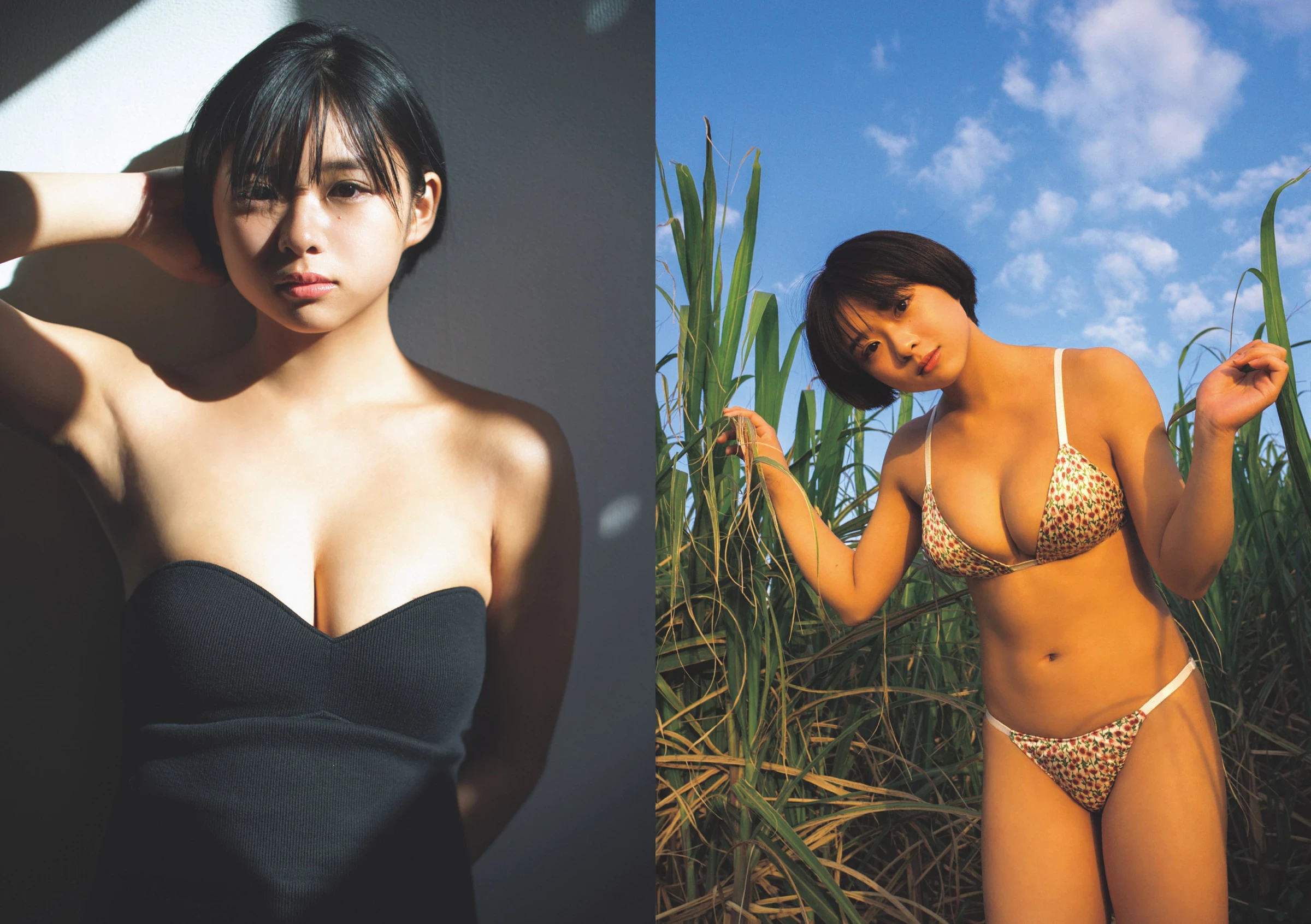 青岛心[绝狼ZERO寻海爱丽丝][Photobook] [デジタル限定]写真集“纯洁” [341P]