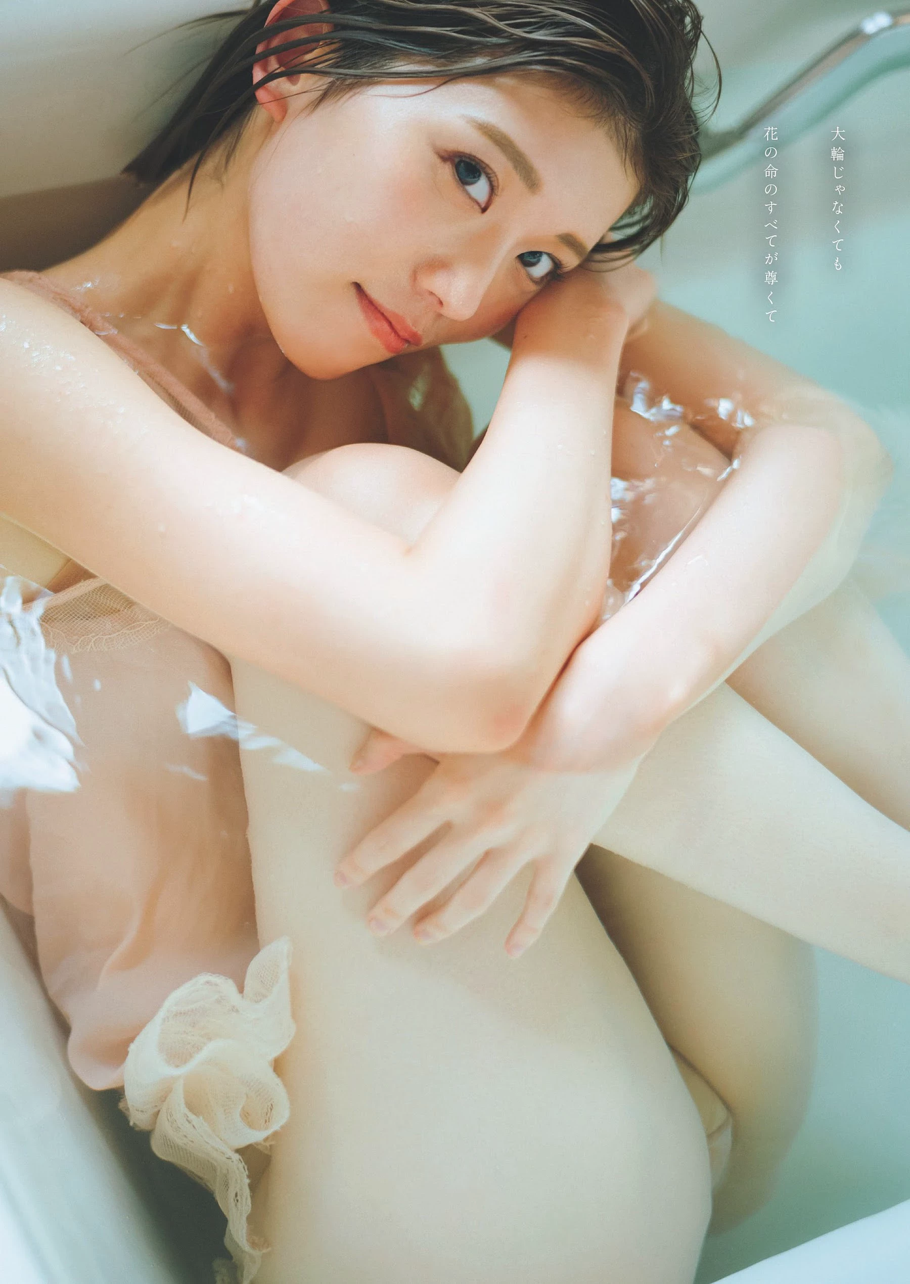 青岛心[绝狼ZERO寻海爱丽丝][Photobook] [デジタル限定]写真集“纯洁” [341P]