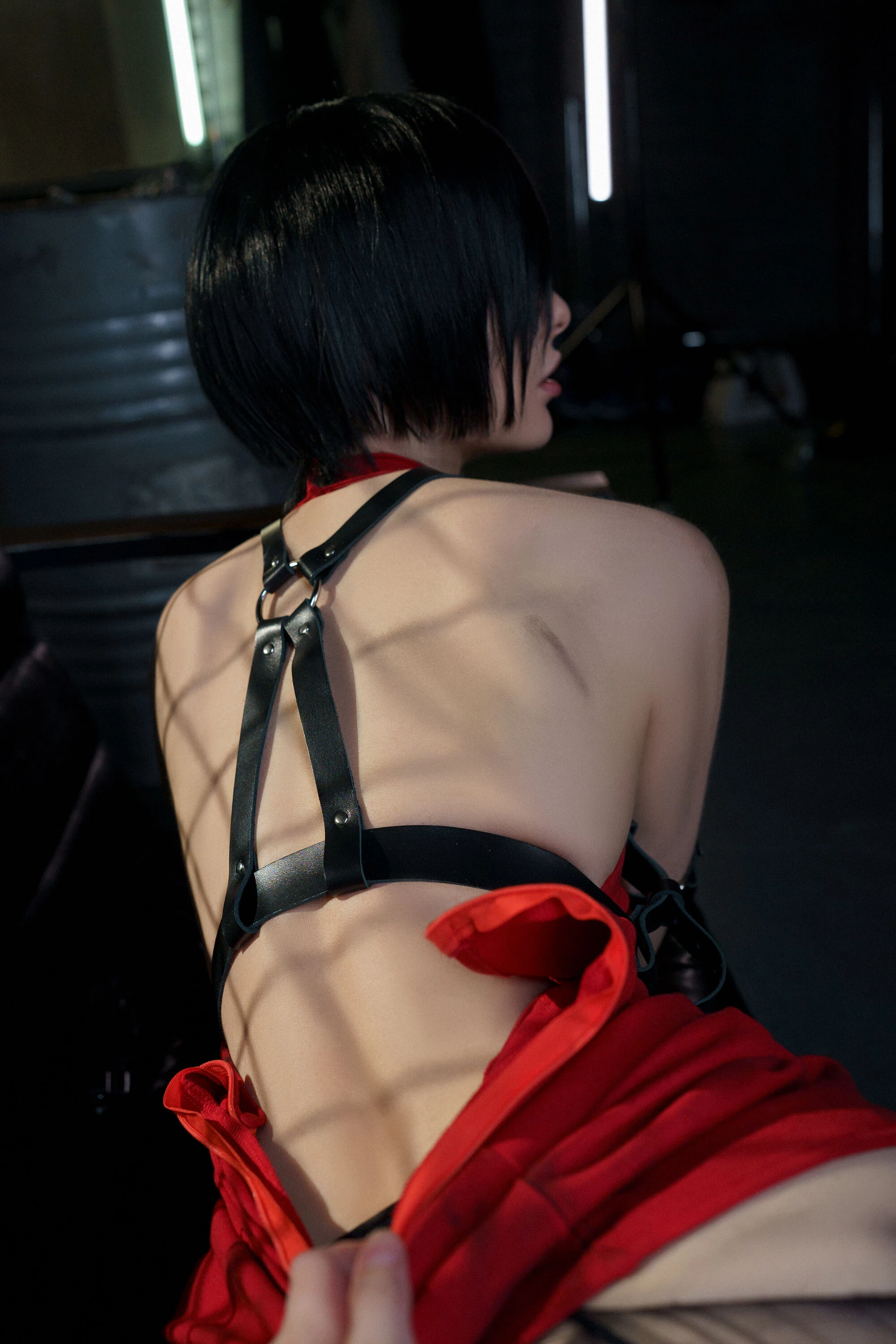 Vinnegal - Ada Wong [49P]