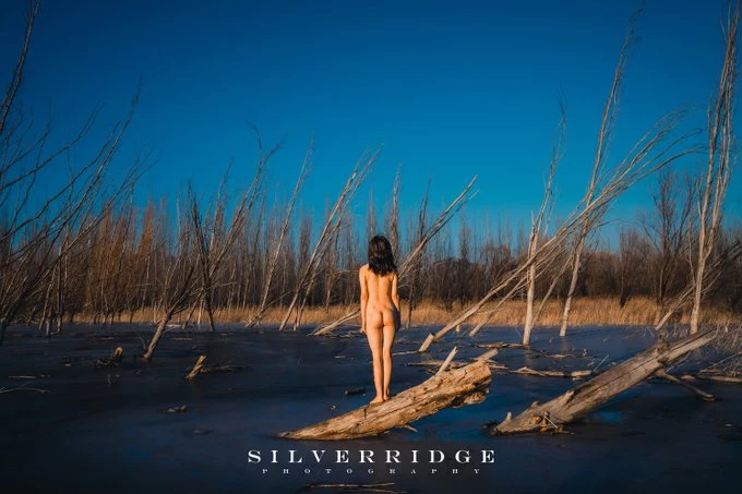 摄影师 SilverRidge@SilverRidge [93P]