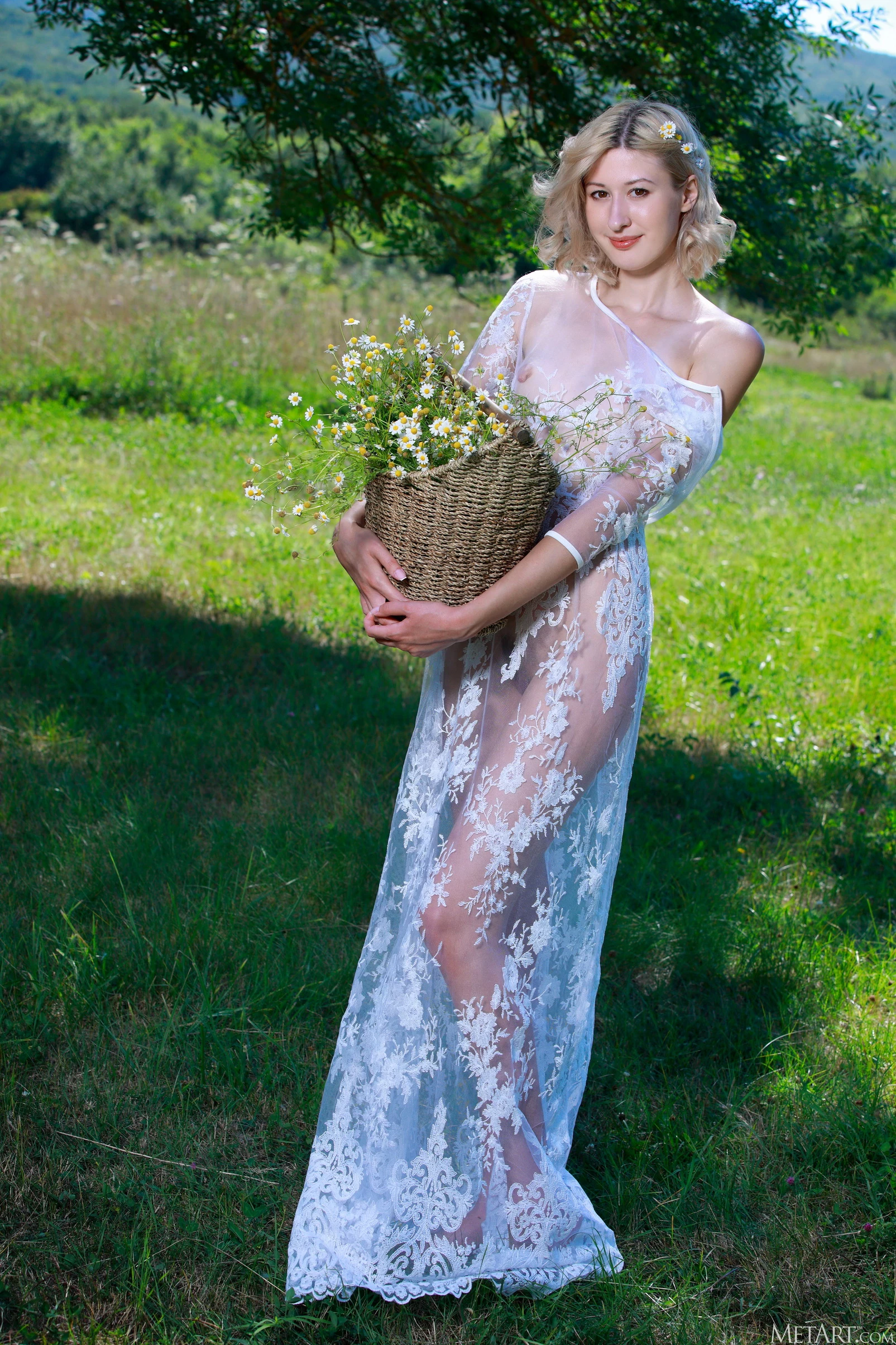 Amalia Nymph Meadow Flowers [120P]