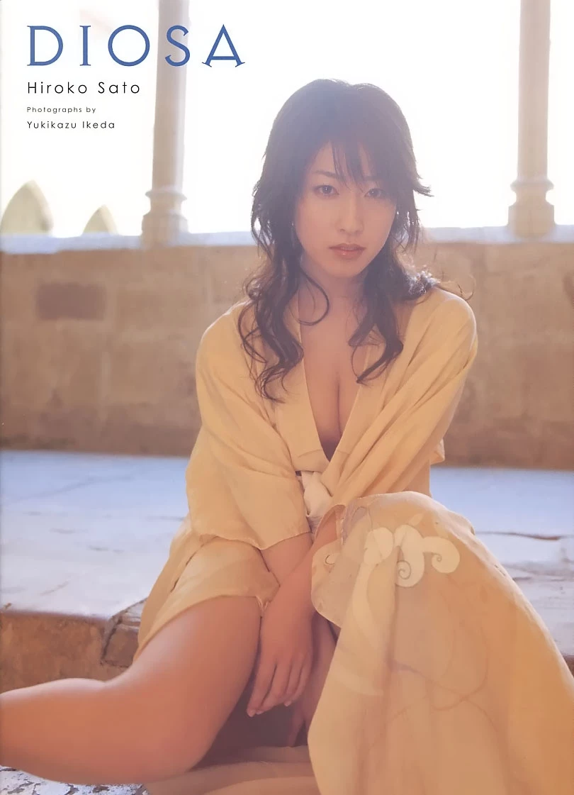 佐藤寛子[Photobook] - DIOSA [377P]