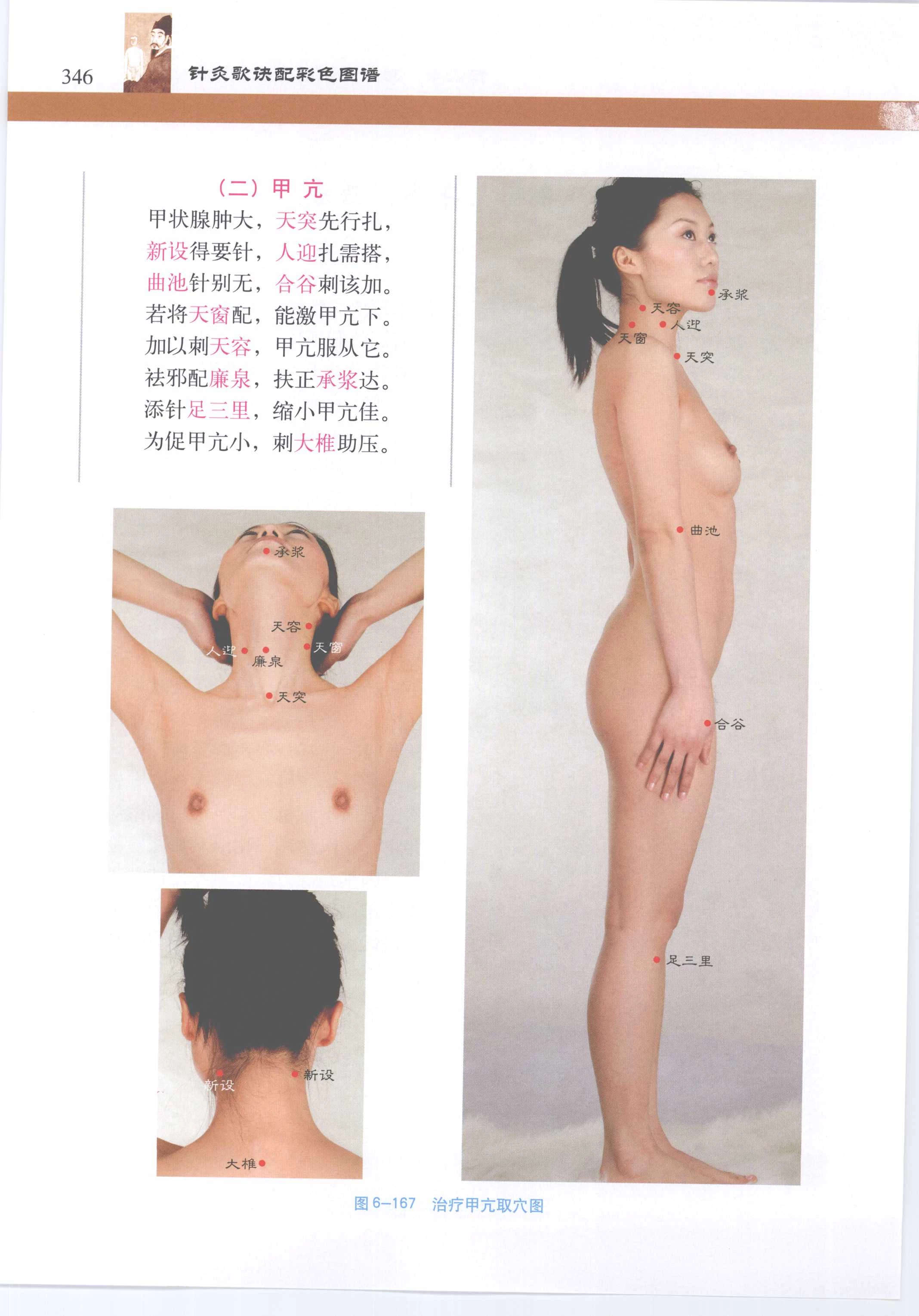 针灸歌诀配彩色图谱 [徐玉琢]Super Pose Book [398P]