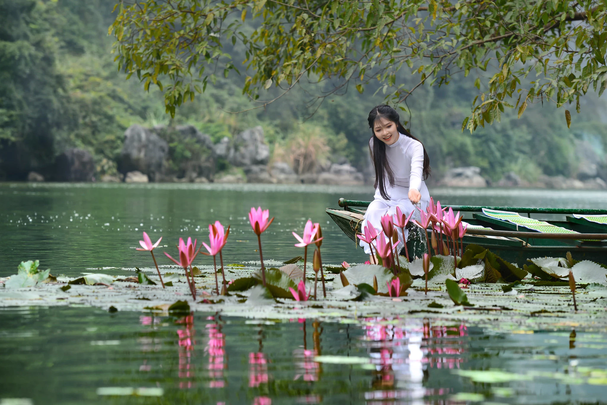 摄影师DINH VAN LINH拍摄的越南青黛