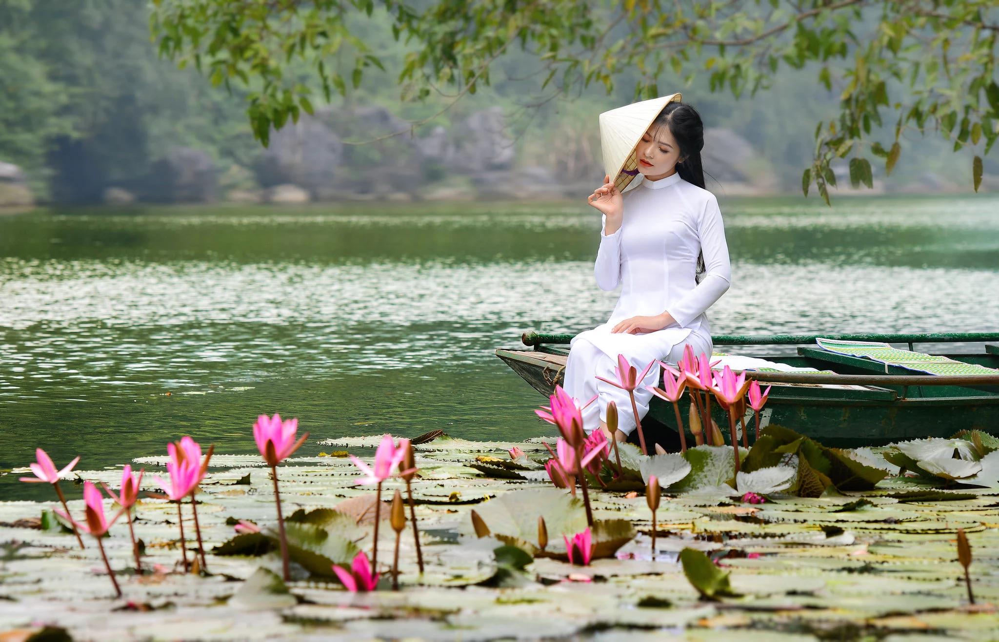 摄影师DINH VAN LINH拍摄的越南青黛