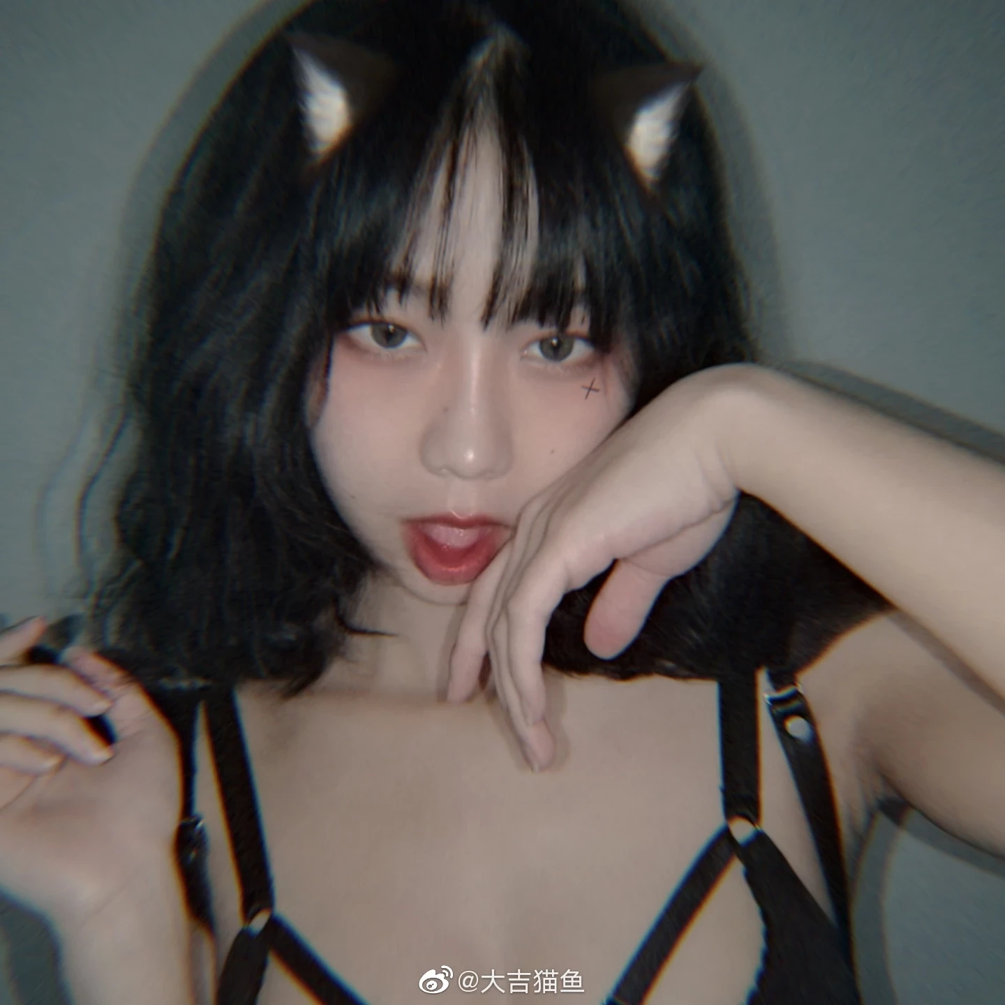 大吉猫鱼4