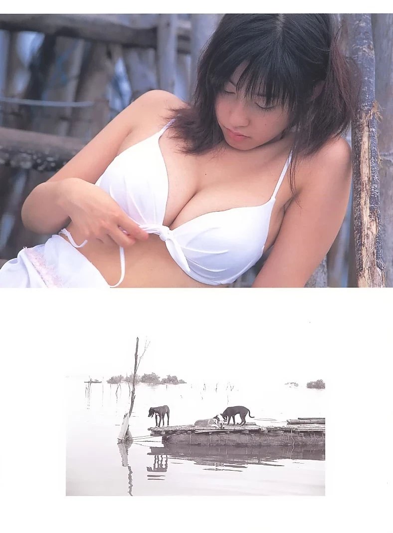 佐藤寛子[Photobook] - 情热 [732P]