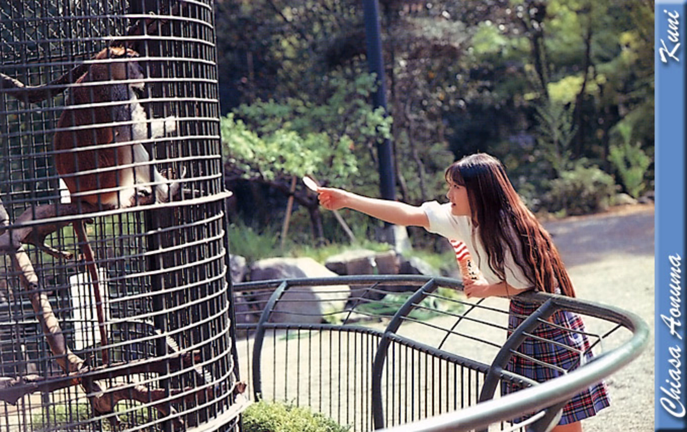 青沼知朝[Photo][KUNI Scan] [330P]