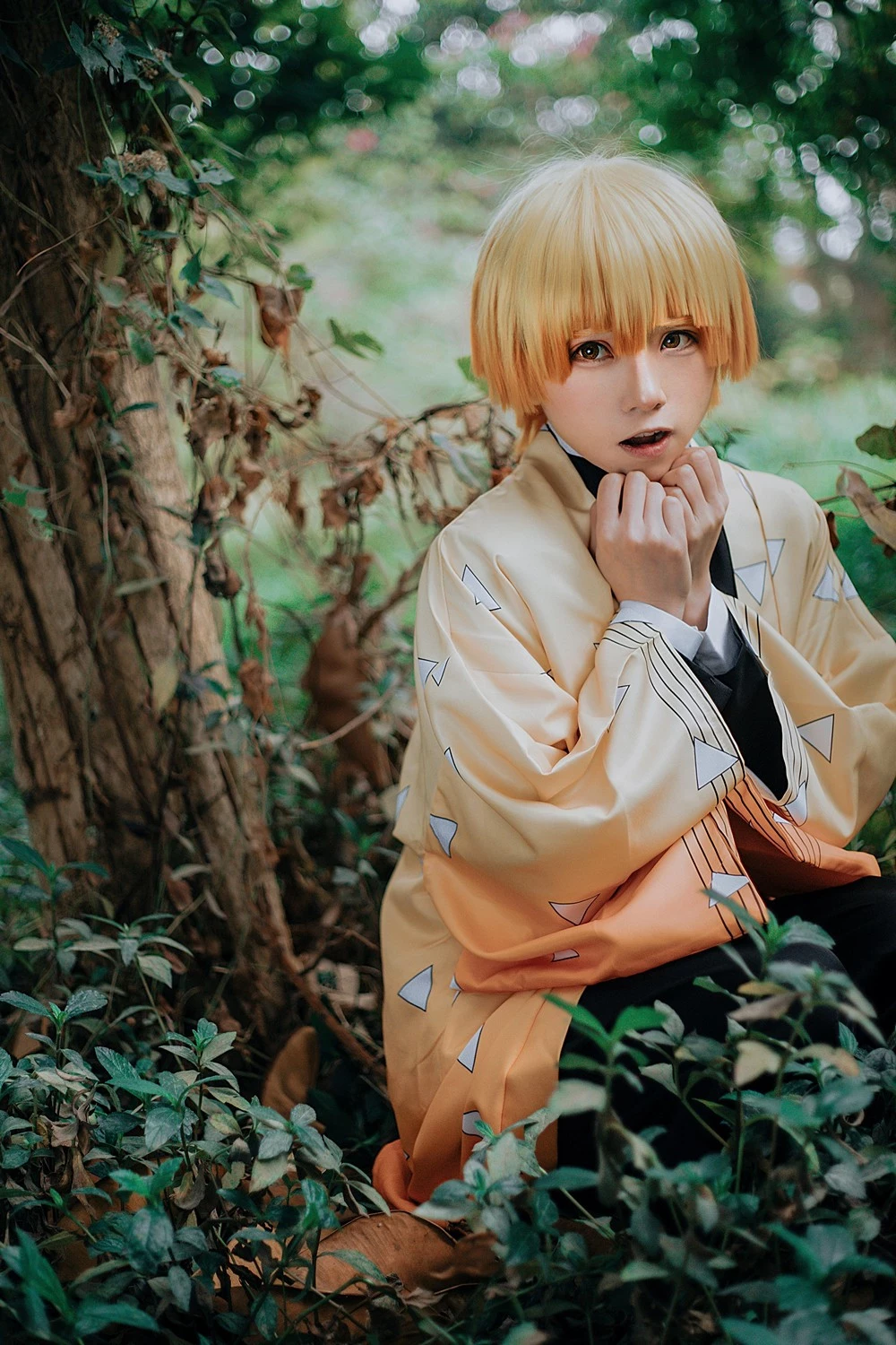 Kitaro 綺太郎 cosplay collection