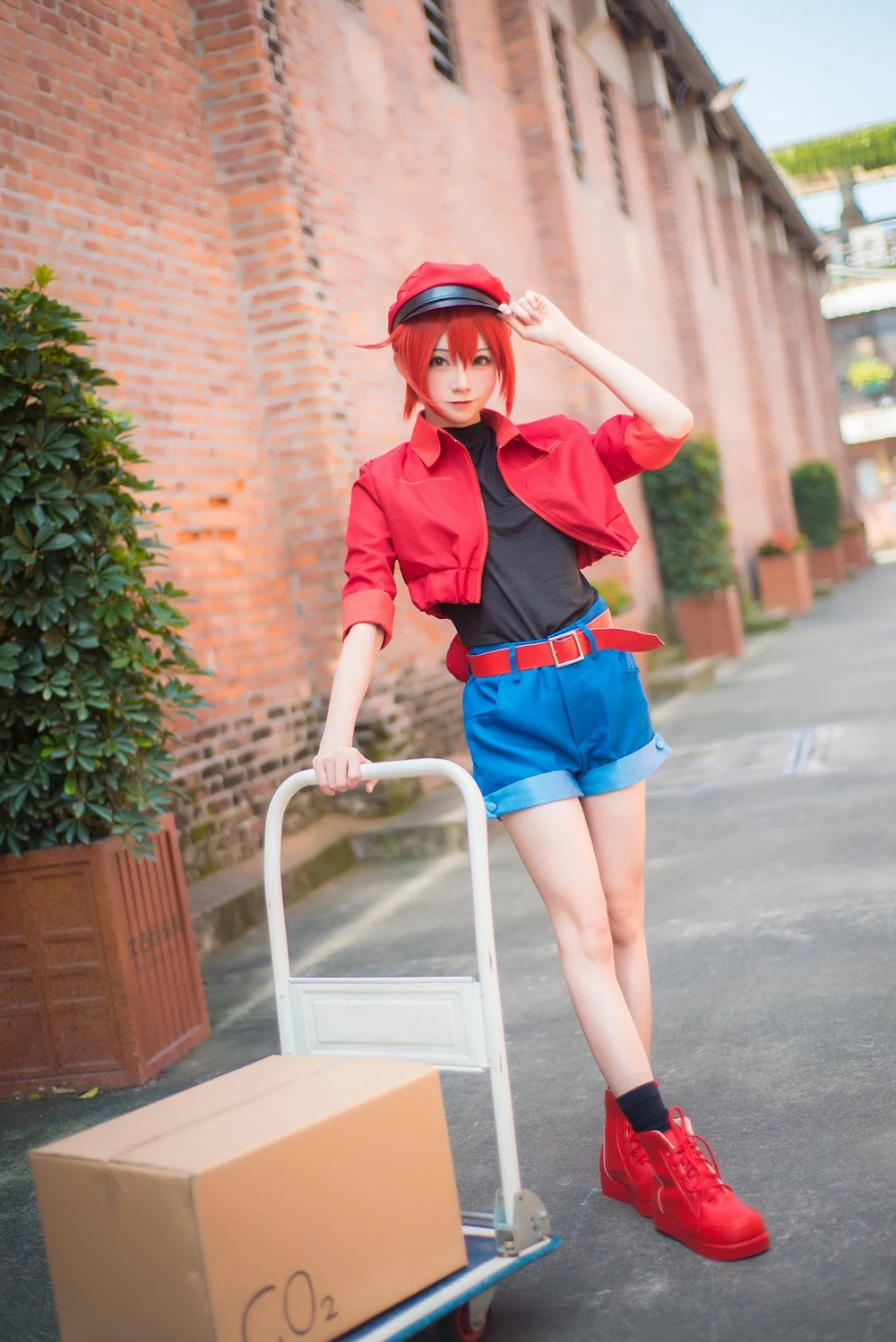 Kitaro 綺太郎 cosplay collection