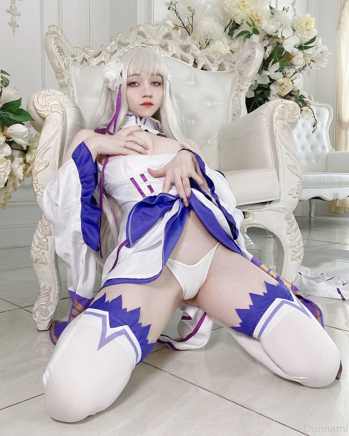 DonnaLoli Cosplay エミリア Emilia