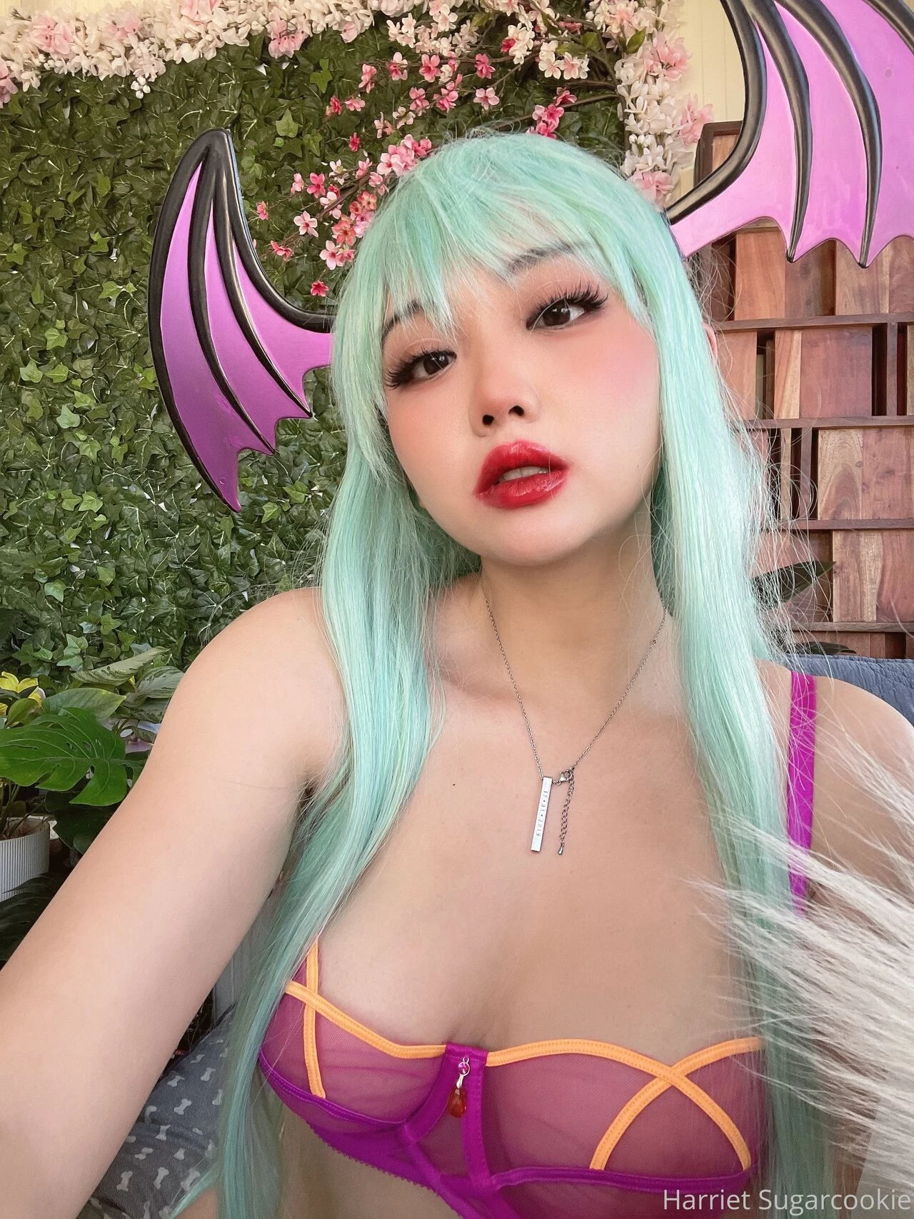 Harrietsugarcookie - Morrigan